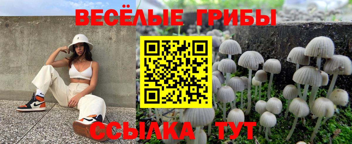 Псилоцибиновые грибы ЛСД Чехов
