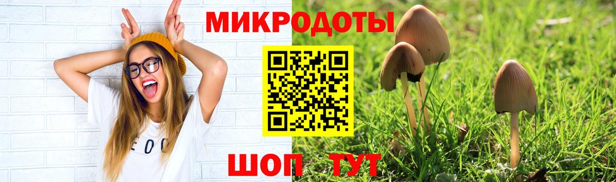 Галлюциногенные грибы мухоморы  Вход с VPN  Чехов 